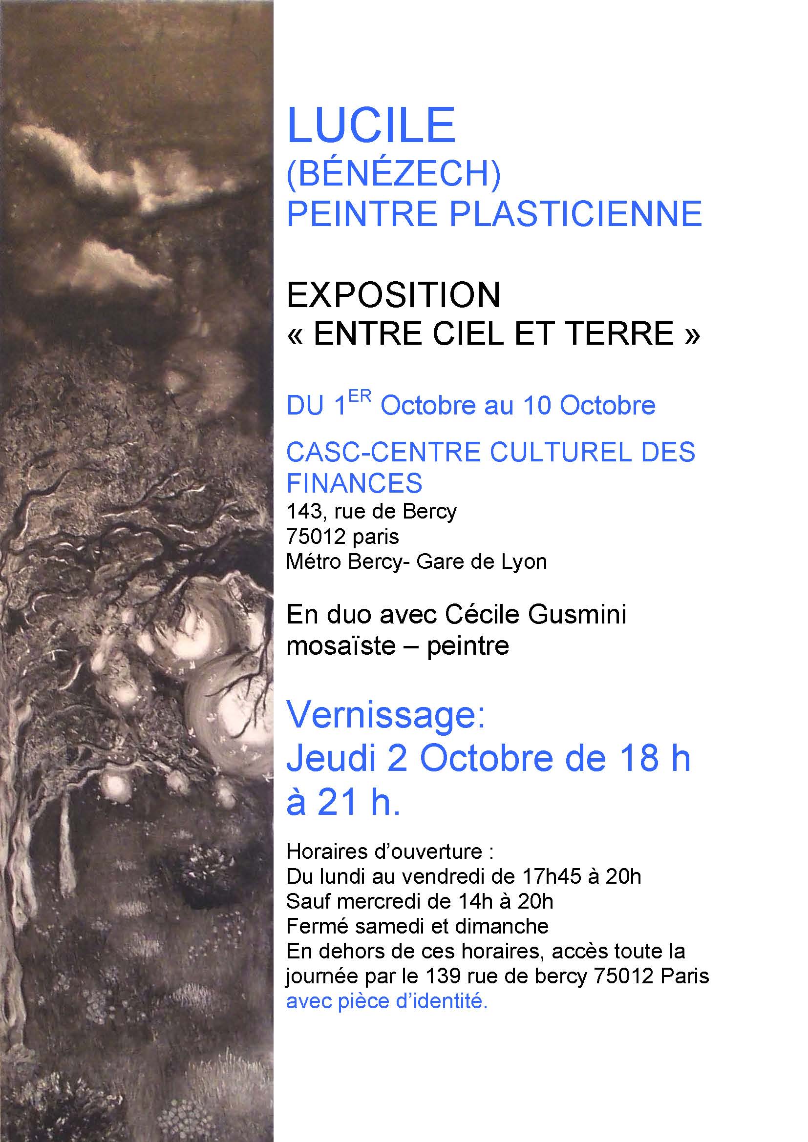 affiche expo casc 2014-1